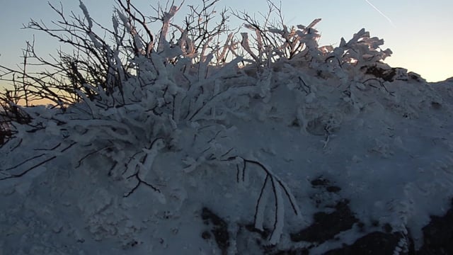山, 日出, 太阳, 雪, 冬天,