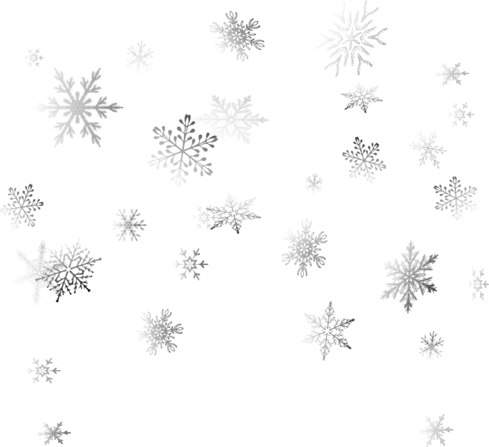 雪花雪朵渐隐