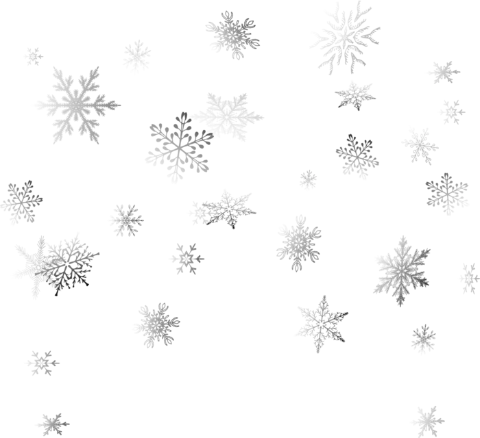 雪花雪朵渐隐