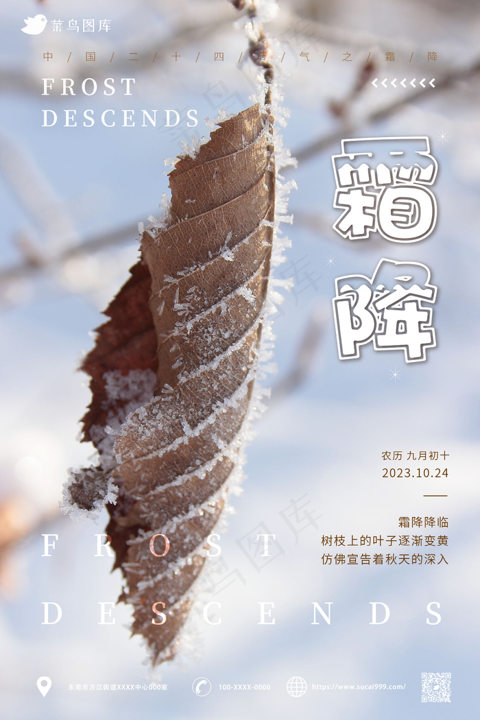 枯叶 简约风 意境 霜降海报 节气ai矢量模版下载