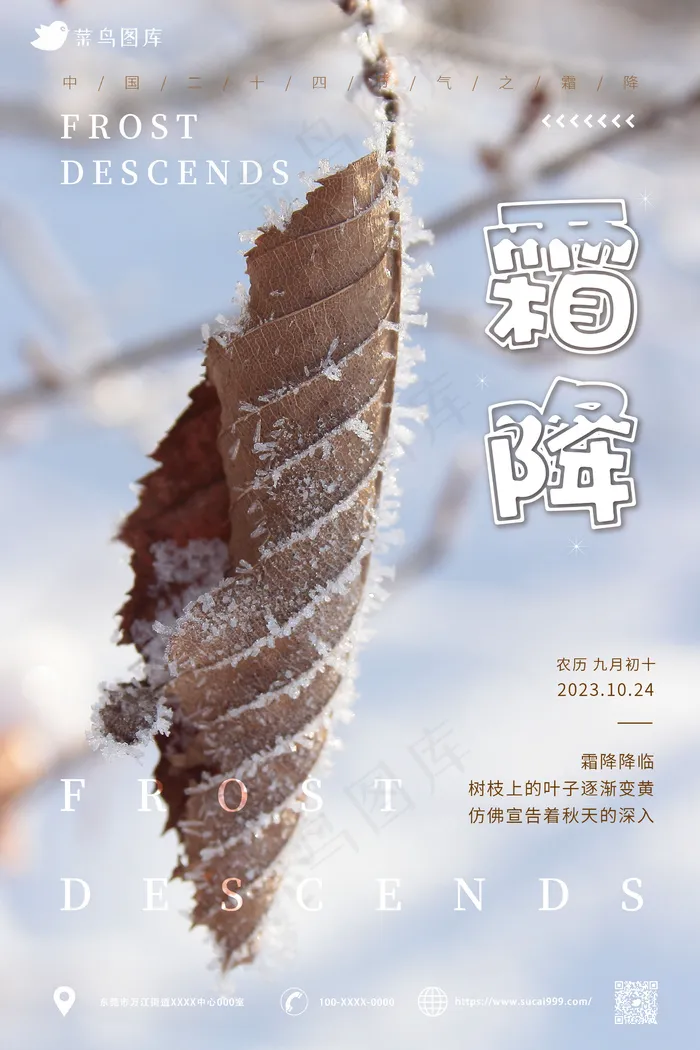 枯叶 简约风 意境 霜降海报 节气ai矢量模版下载
