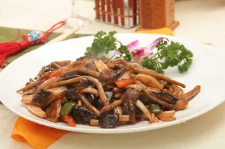 红酒汁益菌 26元