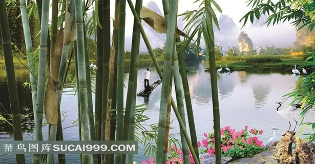 竹林图片 竹林图片