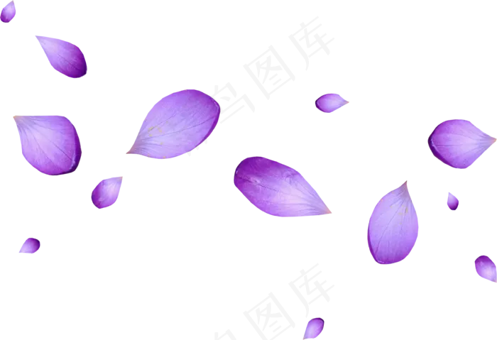 花瓣花朵免扣图片 