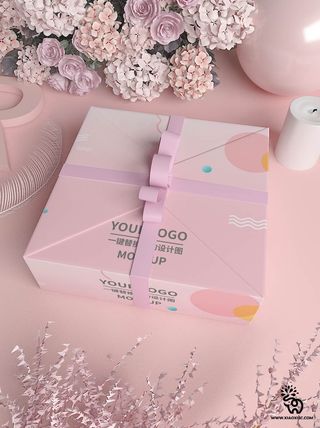 包装智能贴图样机VI效果PSD素材