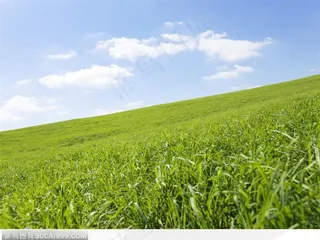 蓝天白云下的大草原