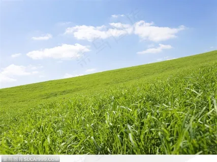 蓝天白云下的大草原 蓝天白云下的大草原