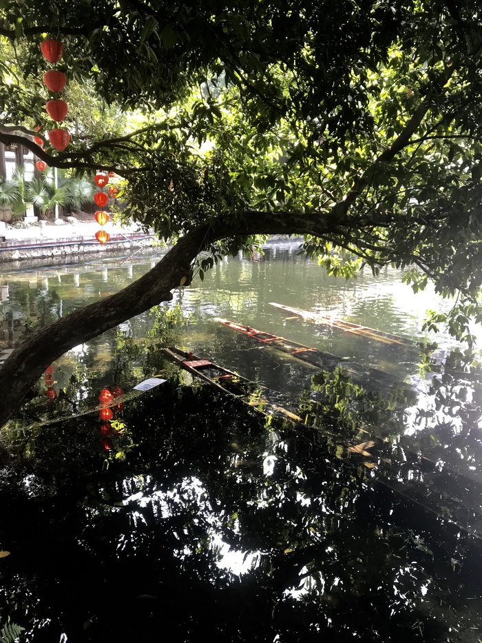 端午龙舟沉舟景象