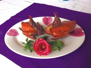 0711a-473脆皮乳鸽