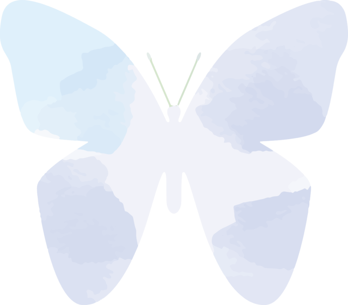 卡通动画动画蝴蝶免扣PNG手绘插画图片素材 (106)