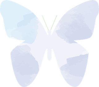 卡通动画动画蝴蝶免扣PNG手绘插画图片素材 (106)