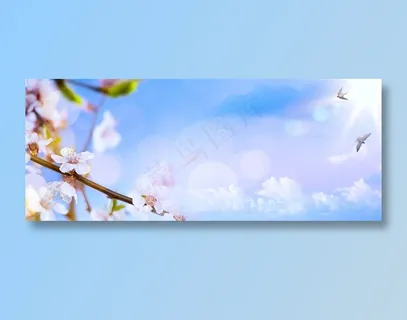 唯美的梦幻鲜花素材风景高清图片