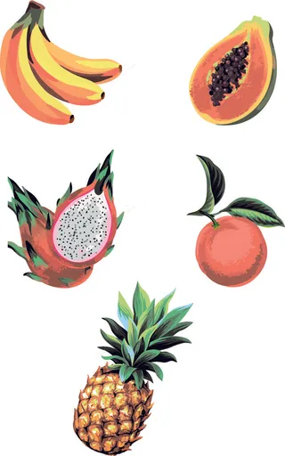 水果插画设计