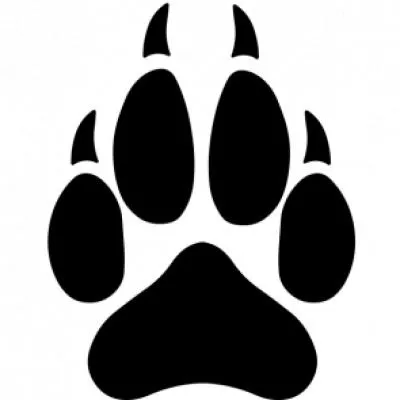 爪子 PNG免抠(400x400)