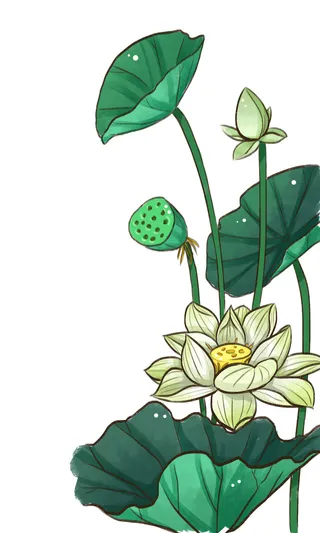 国潮中国风手绘荷花莲花荷叶莲藕植物花卉装饰插画PSD设计素材