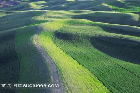 草原下的大地绿席