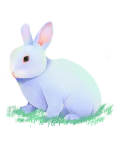 可爱兔子手绘写实免扣