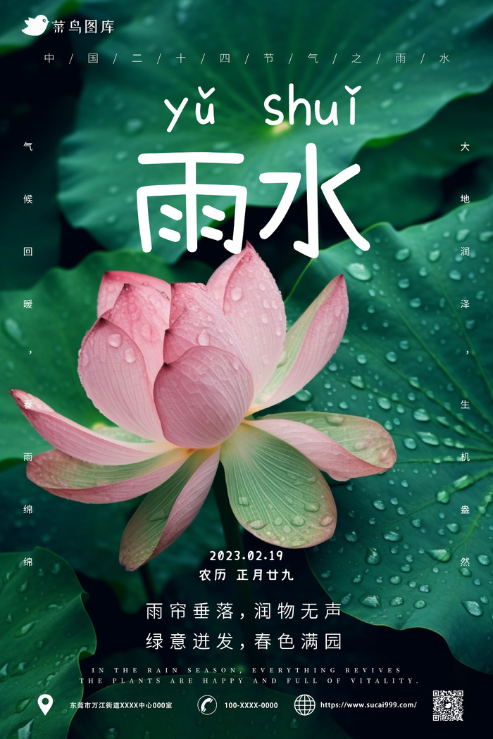 清新简约风 雨水节气海报