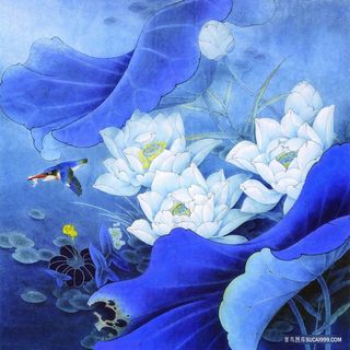 手绘莲花高清花鸟插画