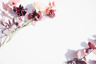 花 春天 海报 背景 精致