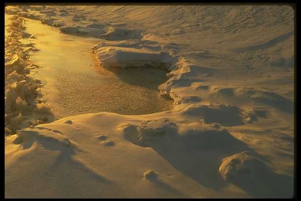 冰雪图片