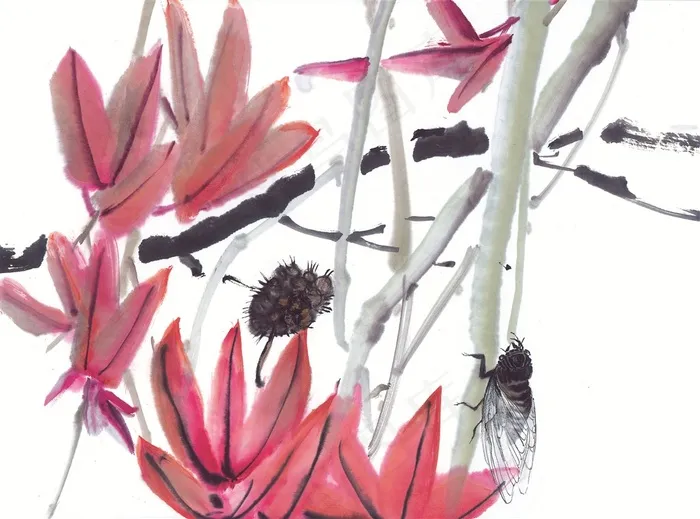 昆虫花草绘画摄影图片