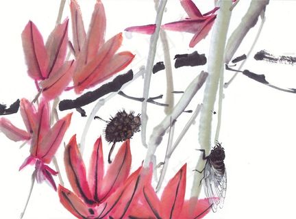 昆虫花草绘画摄影图片