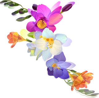 花朵卡通彩绘谷雨