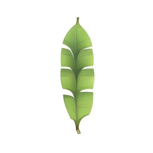 叶子芭蕉叶免抠
