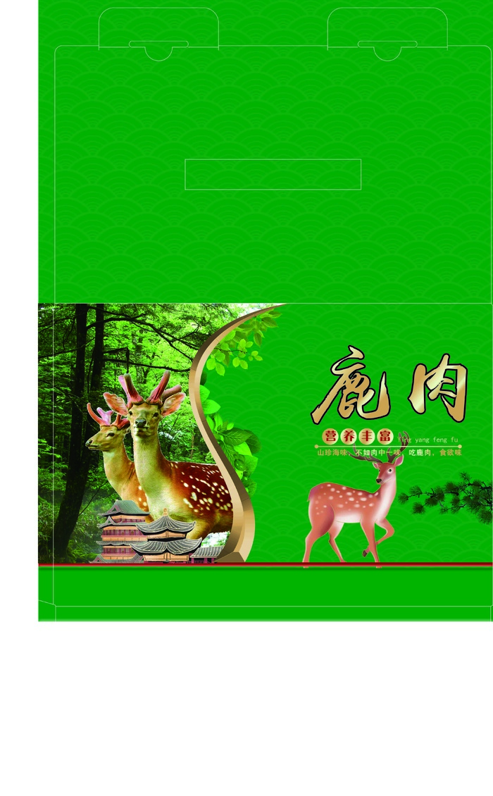 树林曲线树叶鹿肉