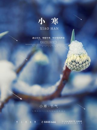 中国传统冬天小寒祝福24二十四节气节日宣传活动海报