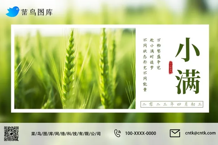 小满节气绿色小麦麦穗小清新公众号海报(3000x2000)psd模版下载