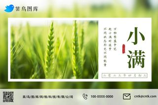 小满节气绿色小麦麦穗小清新公众号海报