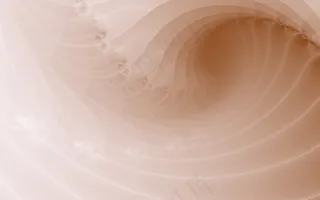 海螺花纹艺术背景