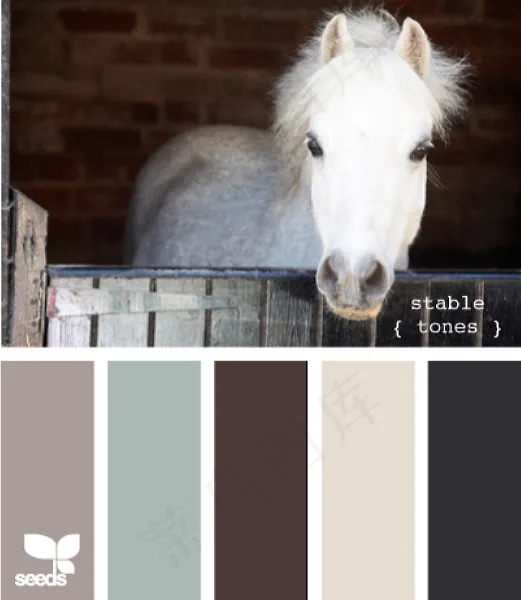 动物配色色卡色彩搭配