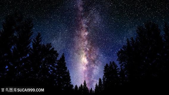 树林美景风景画壁纸