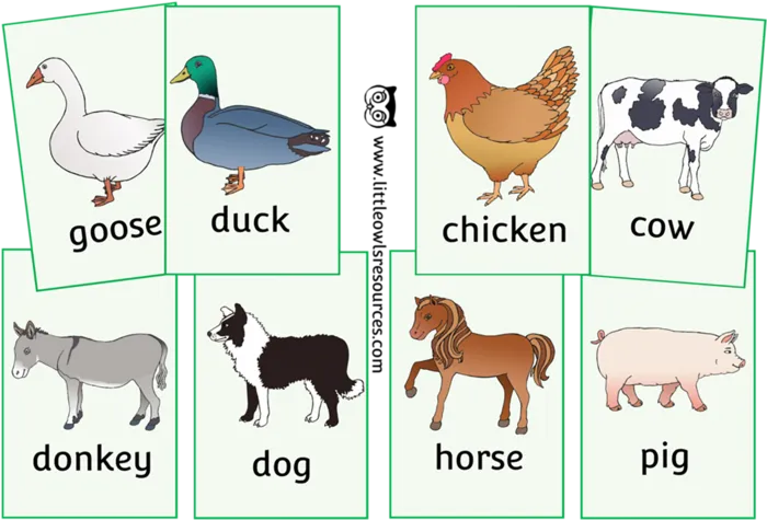 动物标识图片卡通