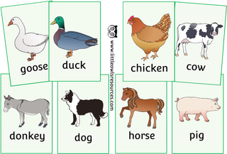 动物标识图片卡通