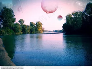 长满树林树木的清清湖面