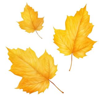 黄色的叶子免抠