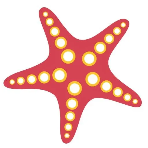 海星 PNG免抠(512x512)