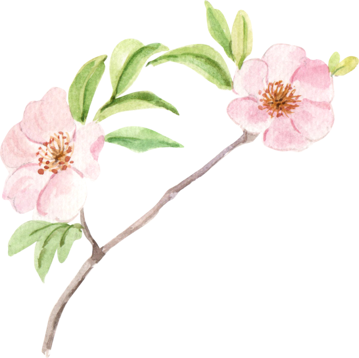 插画免抠高清素材