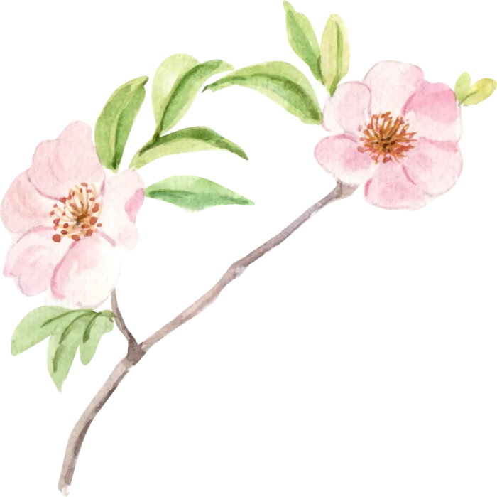 插画免抠高清素材