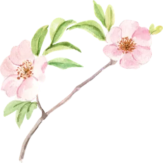 插画免抠高清素材