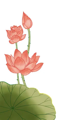 国潮中国风手绘荷花莲花荷叶莲藕植物花卉装饰插画PSD设计素材