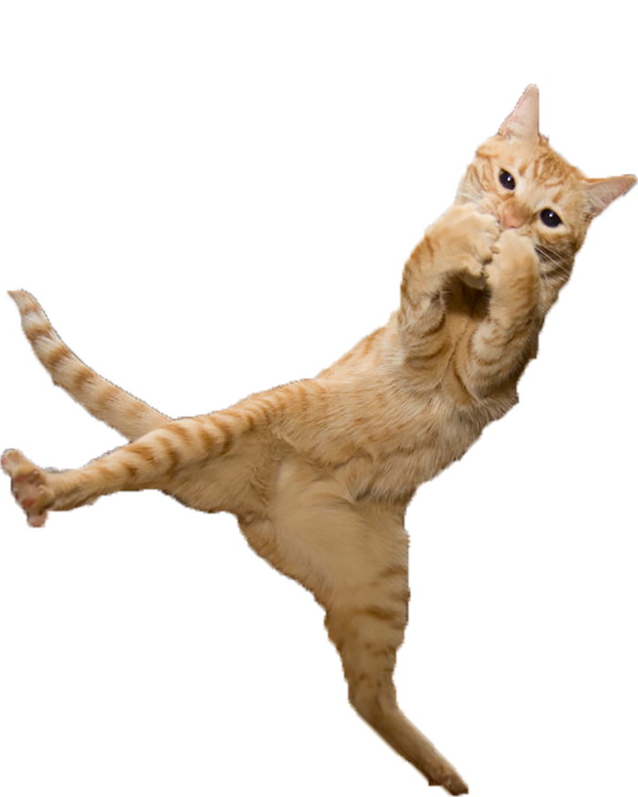 猫咪拥抱卡通