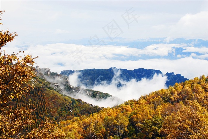 山顶美丽云雾云海