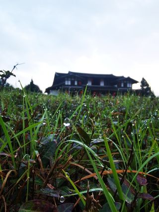 清晨草地水珠里的风景如画