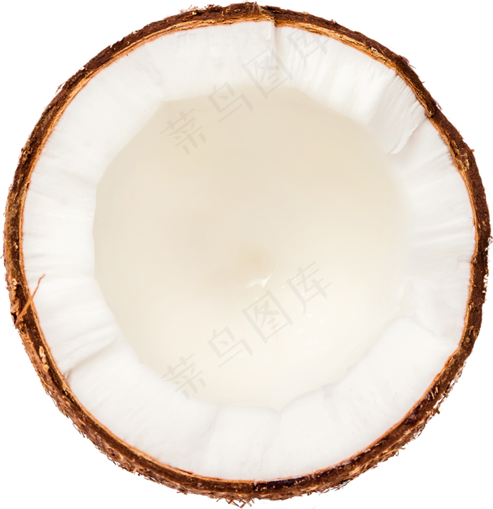 04_Coconut