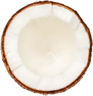 04_Coconut
